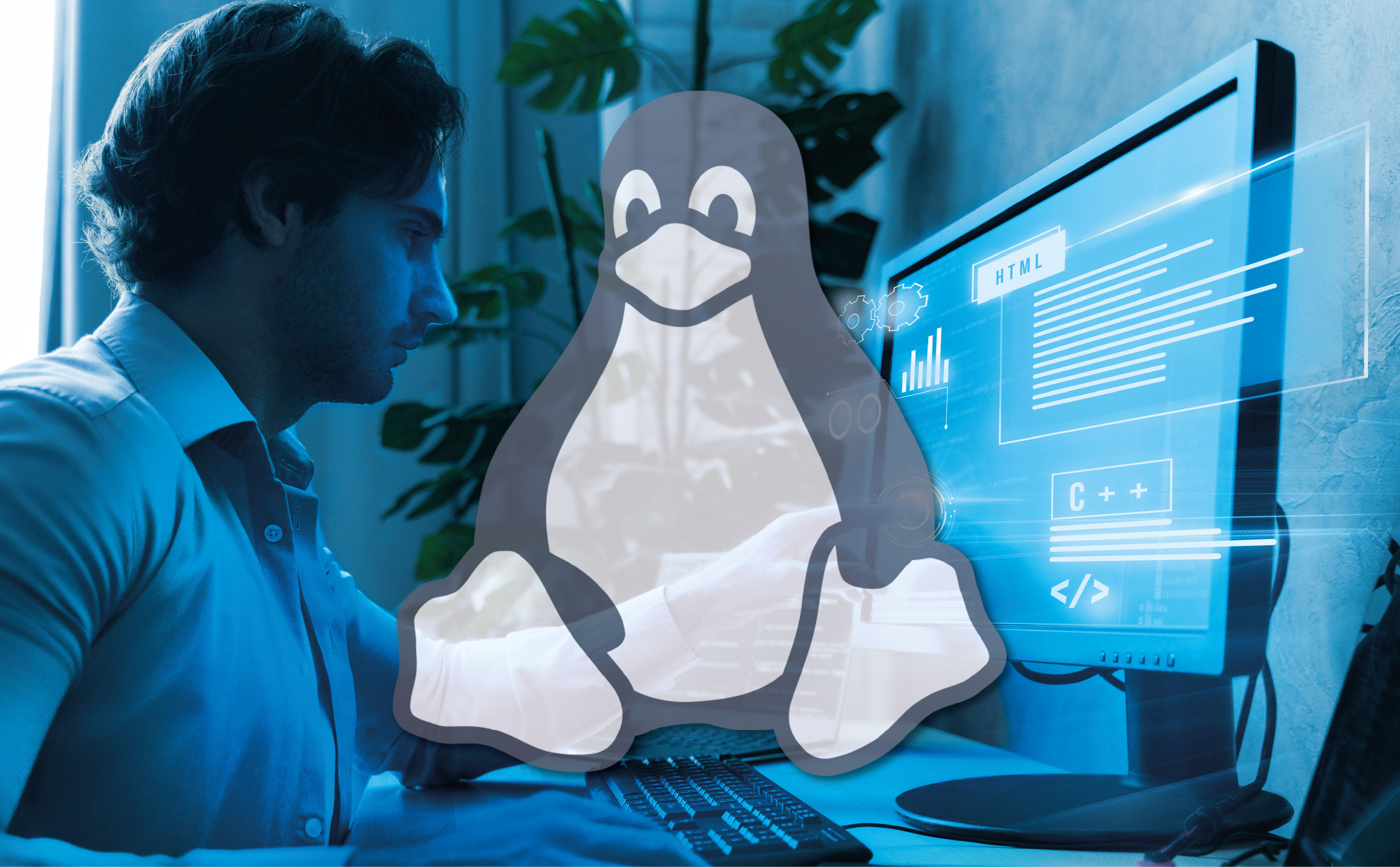 fondo-linux