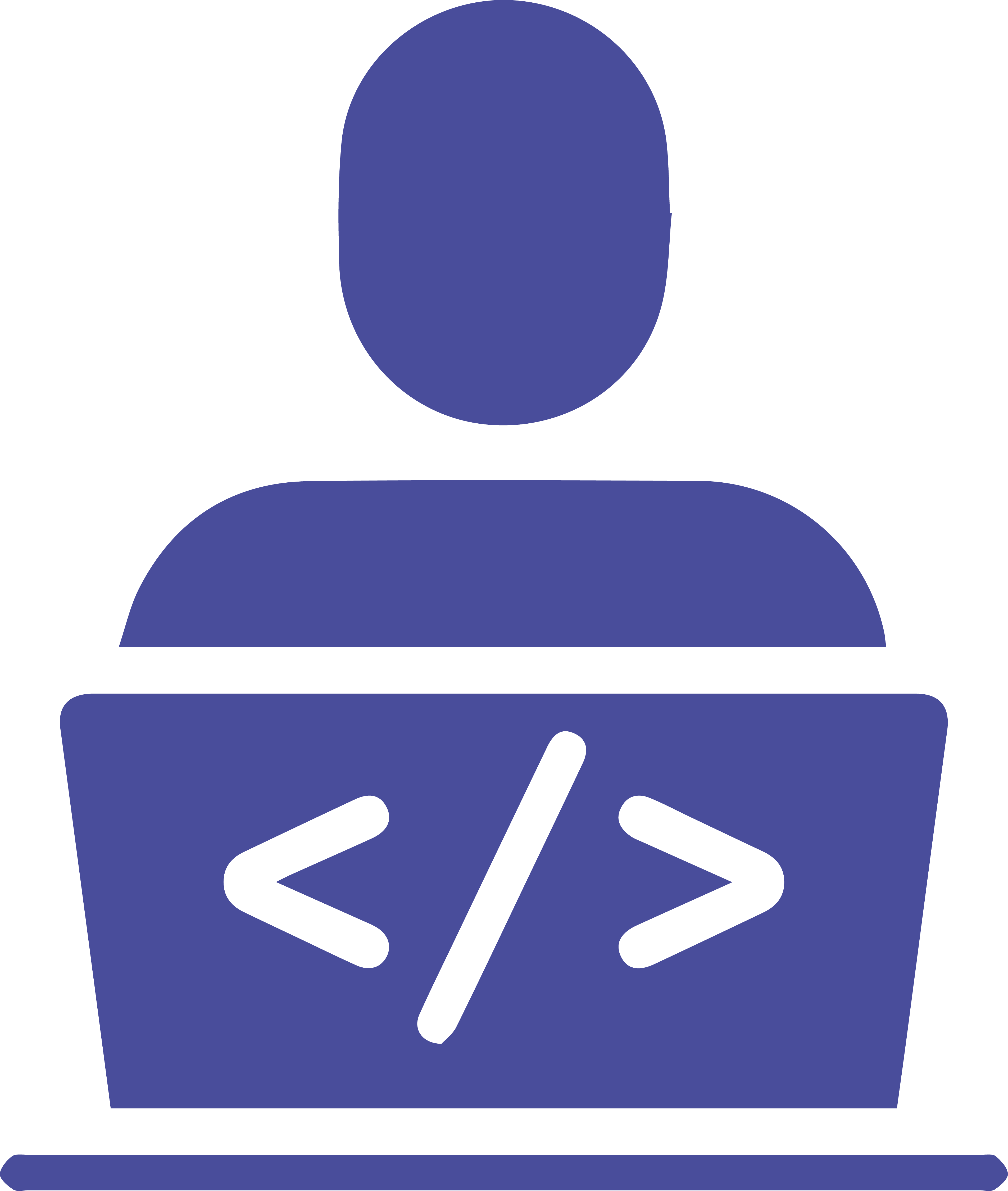 programador-web